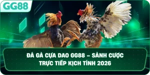 ĐÁ GÀ CỰA DAO – SẢNH CƯỢC TRỰC TIẾP KỊCH TÍNH VÀ ĐẲNG CẤP TẠI GG88